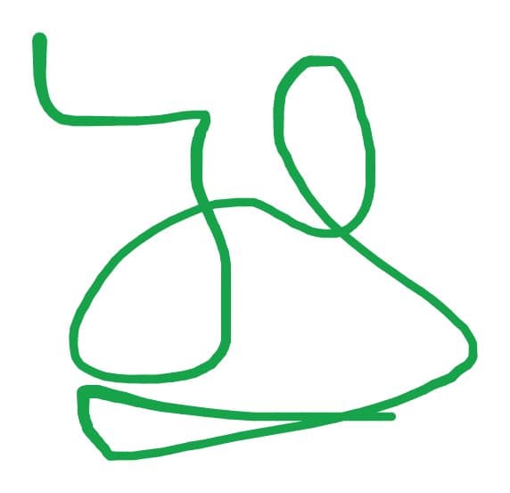 Simple green sketch reference on white background